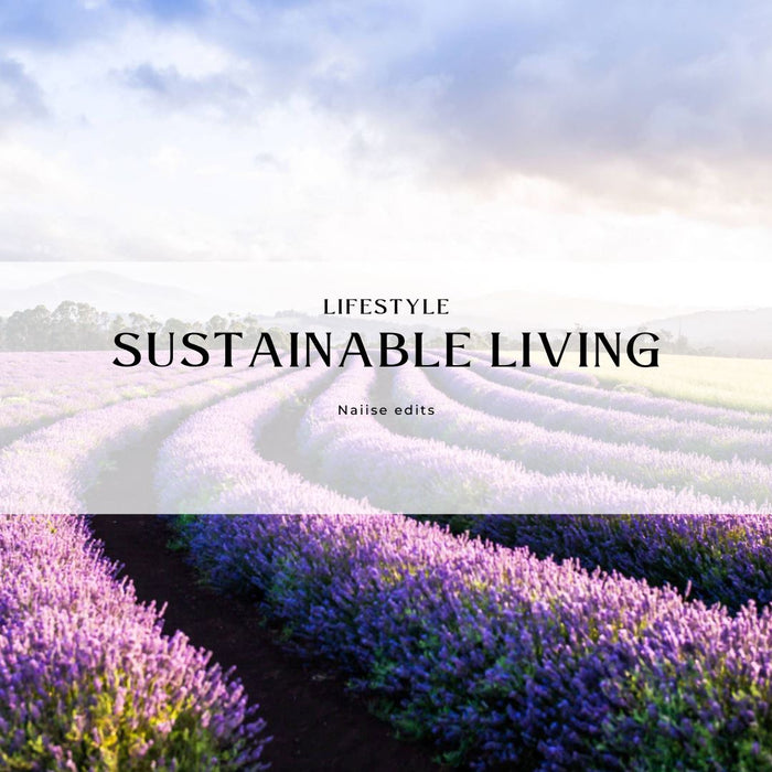 Naiise Lifestyle : Sustainable Living - One Conscious Step at a Time
