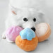 Gem Biscuit Squeaker Chew Toy Local Pet Toys Furball Collective 
