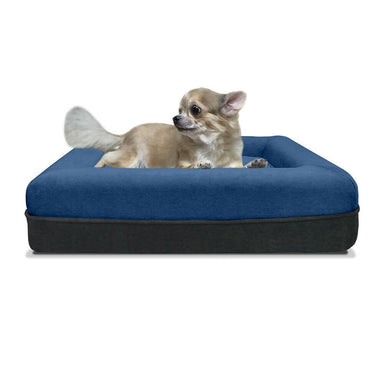 Snooze Pet Bed- Large | Removable & Washable Cover Bean Bags Zest Livings Online 