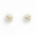 Dainty Gold Plated Flower Bouquet Earrings Earring Studs Forest Jewelry White Daisy 