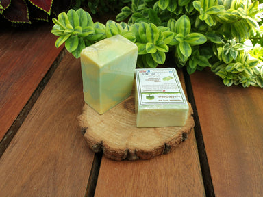 Hand Soap - Lemongrass Lavender (set of 2 pcs) - Soaps - Alletsoap - Naiise