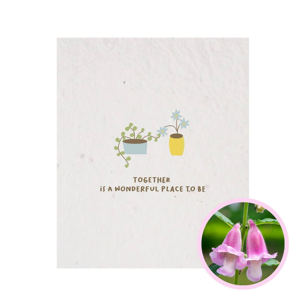 Love Grows Plantable Card Anniversary Cards A Year of Us Sesame 