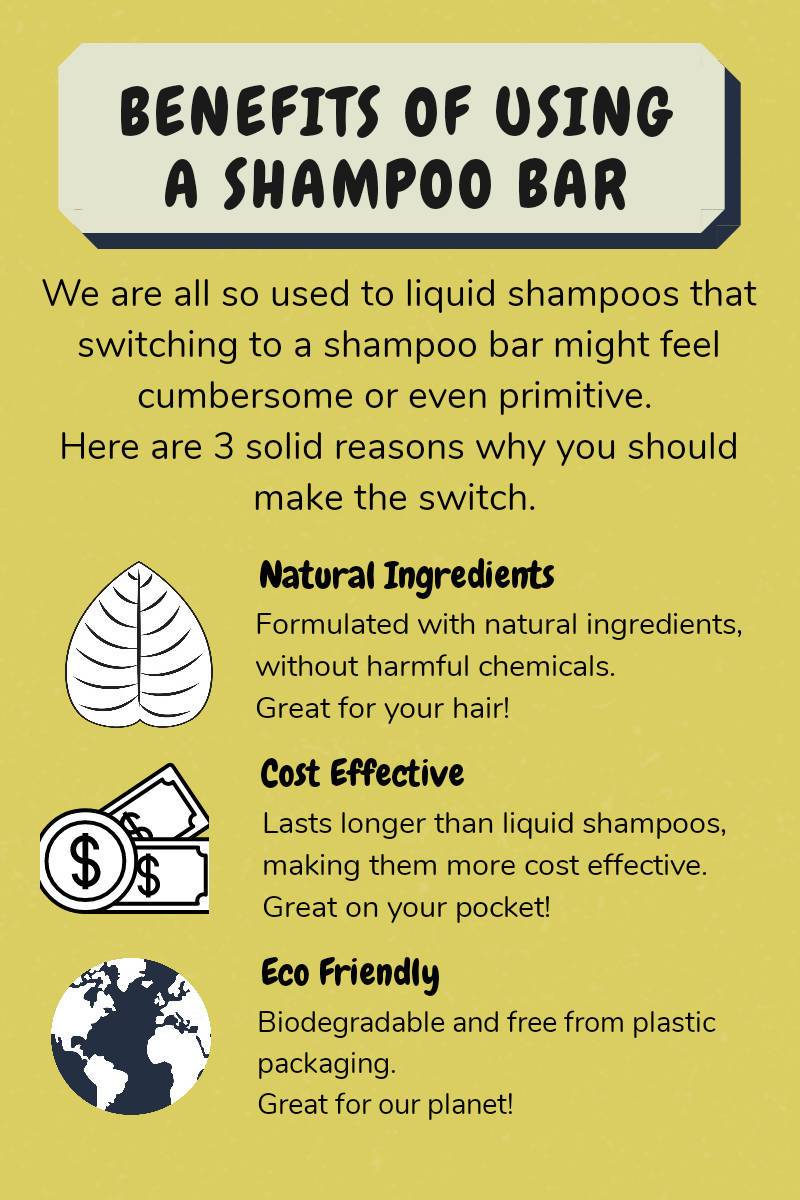 Ecobar Colour Preserve Shampoo Bar - Shampoos - Ecobar SG - Naiise
