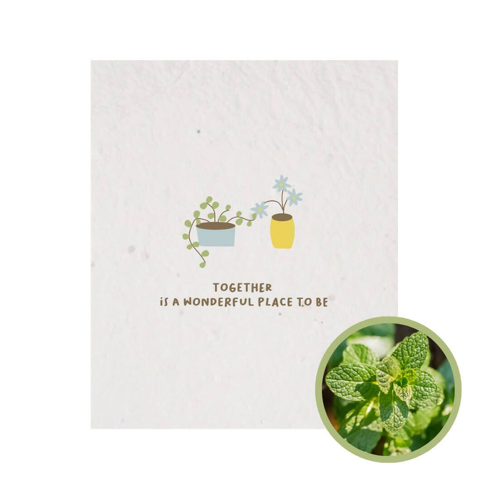 Love Grows Plantable Card Anniversary Cards A Year of Us Mint 