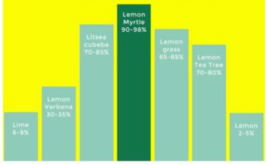 Australian Lemon Myrtle Tea - Teas - Farm To Market - Naiise