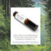 Black Forest Essential Oil Roll-On Perfume Essential Oil Roll-Ons Innerfyre Co 