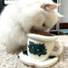 Kopi Cup Bell & Crinkle Toy for Pet Cats Local Pet Toys Furball Collective 