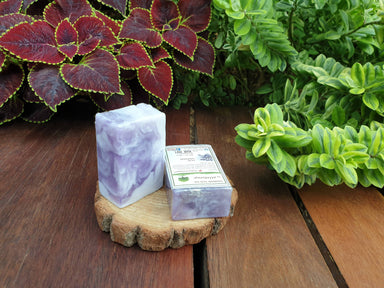 Hand Soap - Lilac Lavender (set of 2 pcs) - Soaps - Alletsoap - Naiise