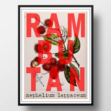 Scientific Rambutan Print - Prints - Big Red Chilli - Naiise