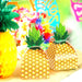Tropical Pineapple Box - Teas - Petale Tea - Naiise