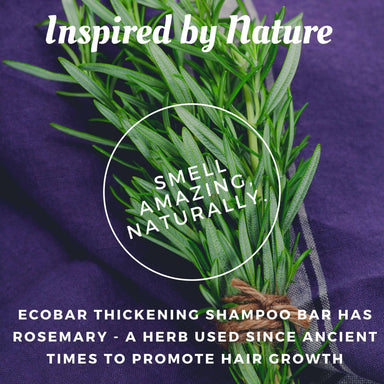 Ecobar Thickening Shampoo Bar - Shampoos - Ecobar SG - Naiise