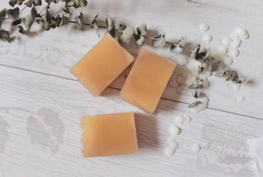 Hand Soap - Honey Beeswax Rosemary Grapefruit (set of 2 pcs) - Soaps - Alletsoap - Naiise